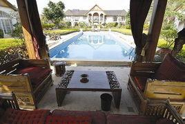 海王宫老板爆料视频大全,视频大全背后的惊人真相