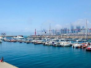 青岛爆料最新事件