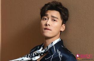 李易峰被爆料视频都有啥,揭秘背后真相与影响