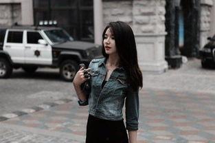 温婉文艺明星,揭秘明星的文艺魅力