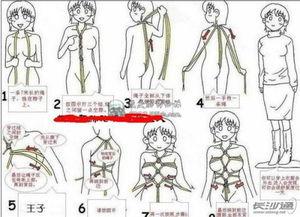 日本绑缚教程视频,从入门到精通教程解析