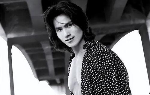 外国华人动作明星,华裔动作巨星的风采与传奇