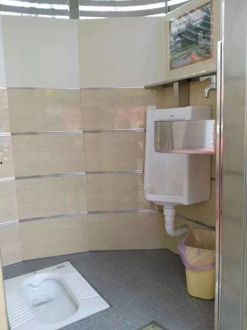 中国公共厕所视频,文明进步的见证与挑战