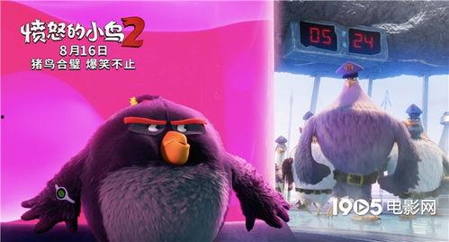 愤怒的小鸡2在线播放