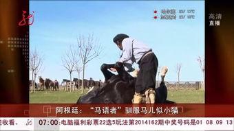 马语者免费在线观看,免费在线观看，探寻人与动物之间奇妙的沟通之旅