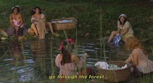 荒野小红帽 在线播放,探险之旅，智慧与勇气并存