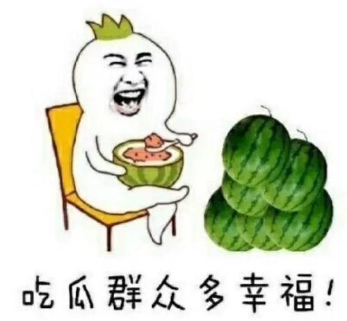 娱乐圈吃瓜的小羊